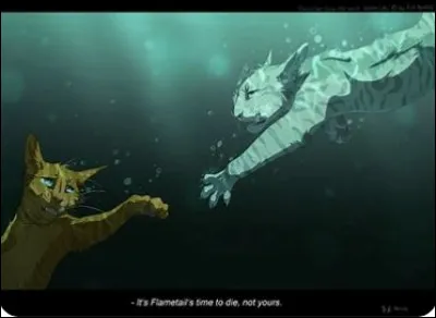 Qui sauve-t-il de la noyade ?