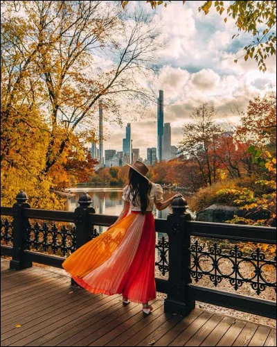 Dans quel arrondissement de New York est situé Central Park ?
