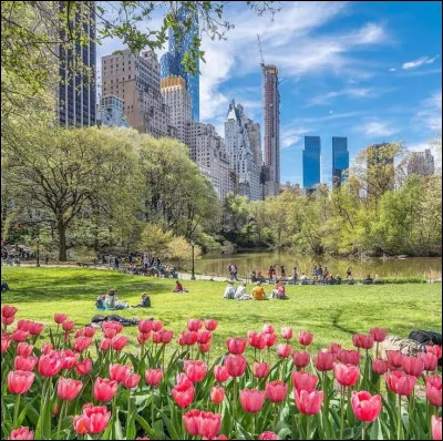 On peut trouver un zoo dans Central Park.