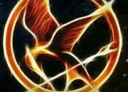Test Gagnerais-tu les Hunger Games ?