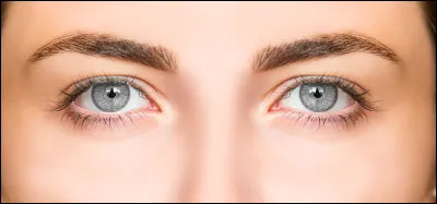 De quelle couleur sont tes yeux ?