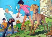 Test  combien de pourcent aimes-tu ''Le Club des 5'' ?