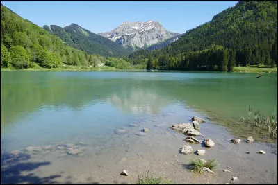 Tu as fini ton chapitre et ta mère te propose d'aller te baigner au lac...