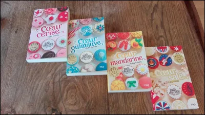 Je suis un chanteur à l'allure de surfeur. Je suis...