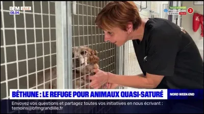 Quelles pièces justificatives sont requises pour adopter un animal au sein d'un refuge ?