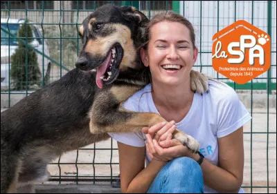 Quel est le nombre total de refuges et de maisons de SPA en France ?