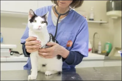 Quel est le total des dispensaires administrés par la SPA en France, qui fournissent des soins gratuits aux animaux de propriétaires en difficulté ?