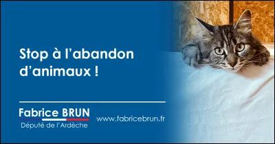Combien d'animaux sont abandonnés annuellement sur le territoire français ?