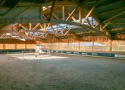 Test Quel poney es-tu ?