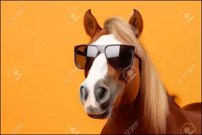 As-tu peur de remonter le poney ?