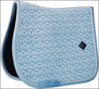 Quelle serat la marque de ton ensemble ?