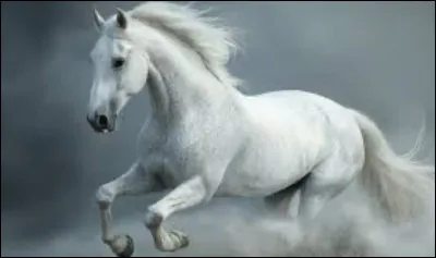 De quelle couleur est ce cheval ?
