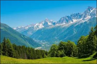 À quel chanteur doit-on la chanson "La dame de Haute-Savoie" en 1980 ?