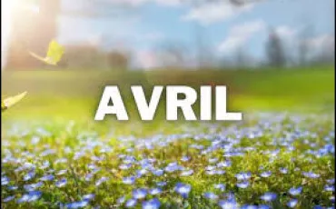 Quiz Musique