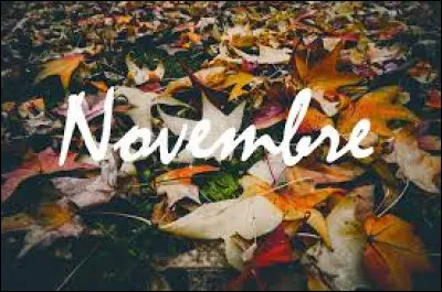 Quel duo a chanté "Midi sur novembre" en 2017 ?