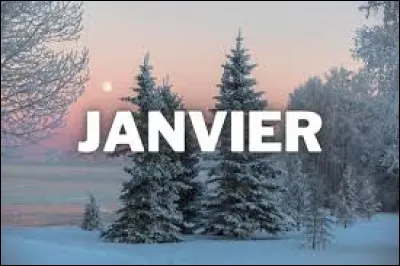 À quelle chanteuse doit-on "Premier janvier" en 2022 ?