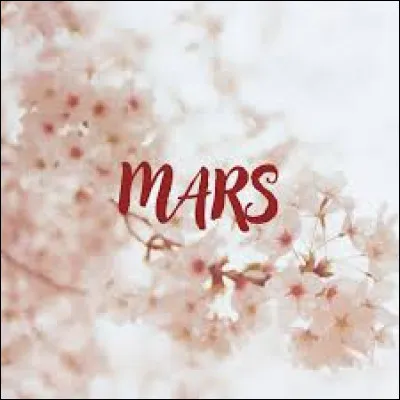 Quel groupe de rap a chanté "Planète Mars" en 1991 ?