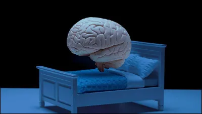 Quelle glande du cerveau a historiquement été décrite comme ayant une forme de poire ?