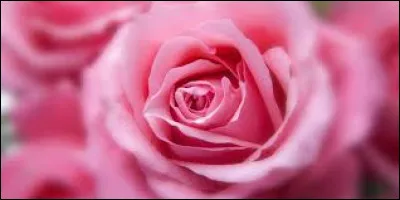 Quelle est cette couleur ?