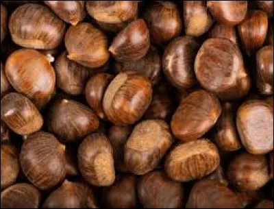 Quelle est cette couleur ?