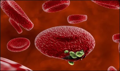 En 2015, il a été victime des effets secondaires d'un traitement préventif contre quelle maladie, appelée également ''malaria'' ?