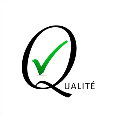Quelle qualité te définit le mieux ?