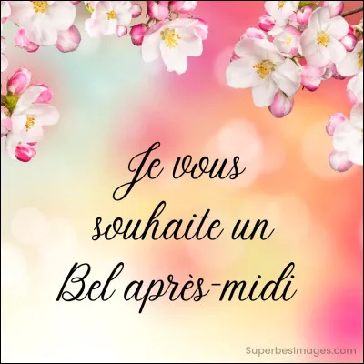 Tu as une après-midi libre, tu choisis de...