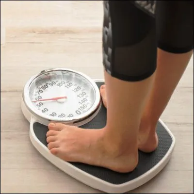 Quel animal très lourd est particulièrement friand de krill ?