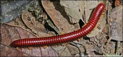 Km 146,3 : Saint-Adrien. Combien de personnes résident dans la commune ?