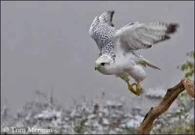 Km 162,1 : Côte de Bonsecours. Le cimetière particulièrement monumental est aussi un centre d'intérêt à ne pas négliger. Quel poète y est enterré ?