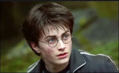 Où dort Harry Potter au début du livre 1 ?