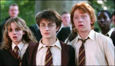 Qui répare les lunettes de Harry ?