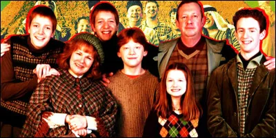 Quelle famille préfères-tu ? Partie 1/2