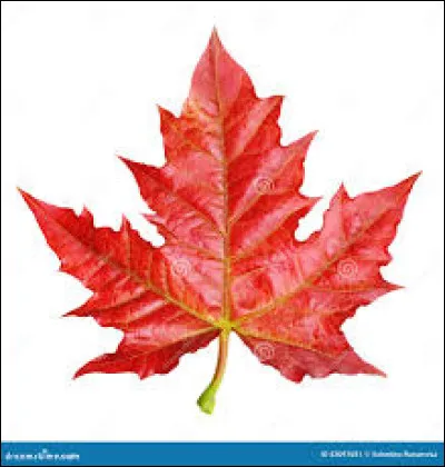 Km 9,5 : Villons-les-Buissons. Par quels soldats, Villons-les-Buissons est lib&eacute;r&eacute;e le soir du d&eacute;barquement de Normandie ?