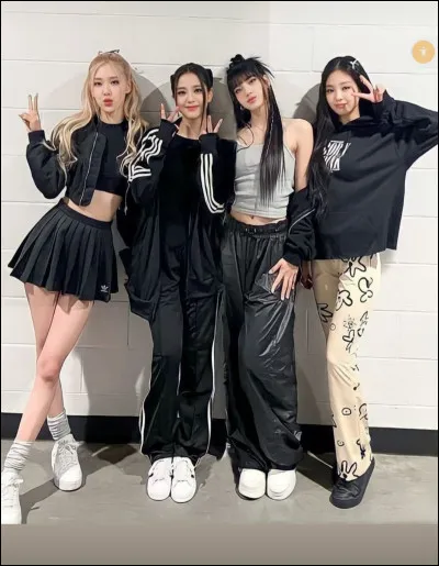 Les Blackpink ont fait un vlog sur leur chaîne YouTube. Il se nomme...