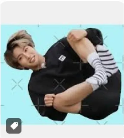 Quel nom de fandom ont-ils choisi pour leurs fans ?