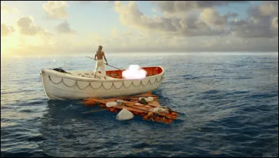 Dans le film "L'Odyssée de Pi" qui est le deuxième passager ?