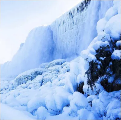 Qu'ont les Ailes de Glace pour se protéger des autres peuples ?