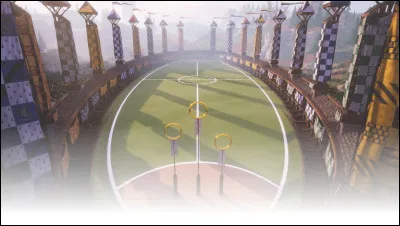Quel objet a servi de portoloin pour emmener Harry, Hermione, les Diggory et les Weasley à la Coupe du Monde ?