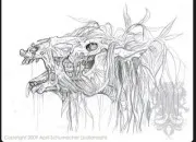 Quiz Kelpie