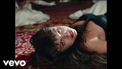 De quel clip cette image vient-elle ?