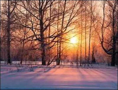 Je suis reconnu pour mon rôle dans le film d'animation "Un Noël de rêve". Qui suis-je ?