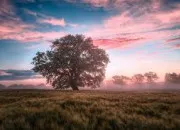 Test Quel paysage es-tu ?