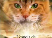 Quiz Connais-tu bien Poil d'cureuil dans ''La Guerre des clans'' ?