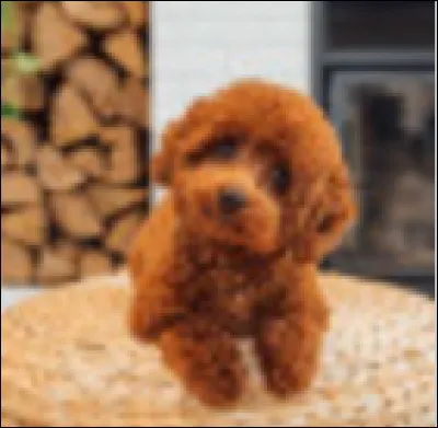 Même question, tu préfères