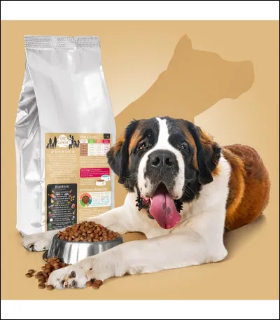 Si tu étais un chien, qu'est-ce que tu préfèrerais manger ?