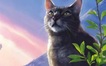Quiz Littrature, posie