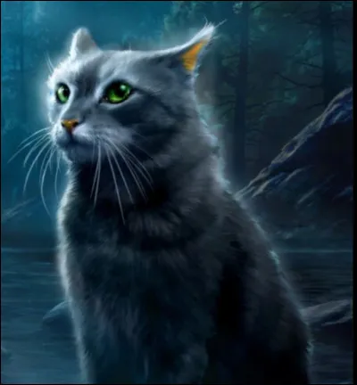 Il y a des humains dans :