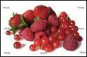 Les fruits rouges sont des aliments anti-fatigue, car ils renferment...