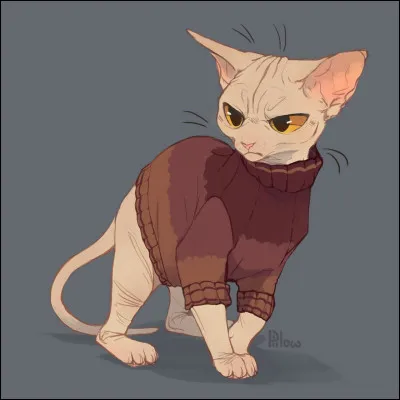 Quel chat n'existe pas ?